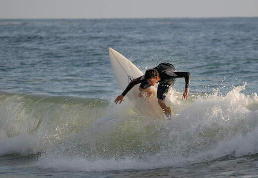 Surfer